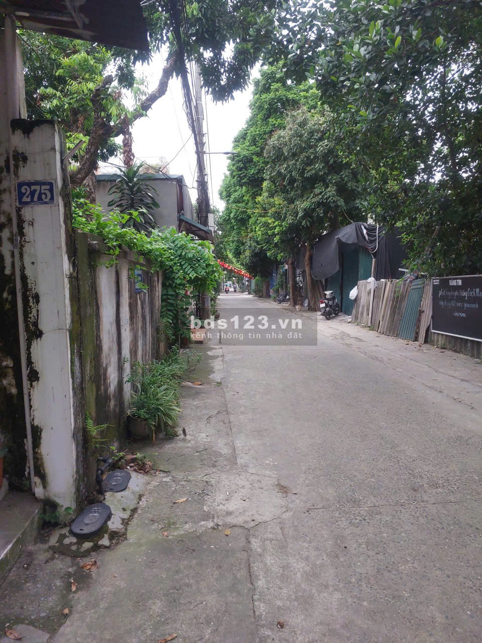 Nhà riêng không chung chủ. Gờ giấc tự do, tự quản. ƯU TIÊN…