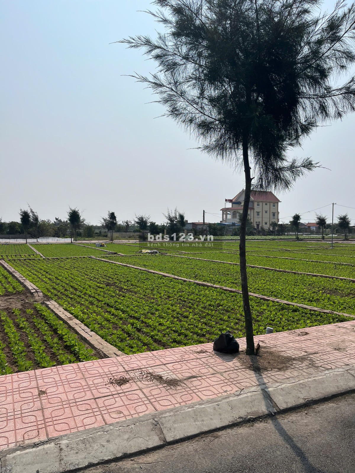 CẦN BÁN - chỉ 1 tỉ đồng 100m2 TT.Quất Lâm