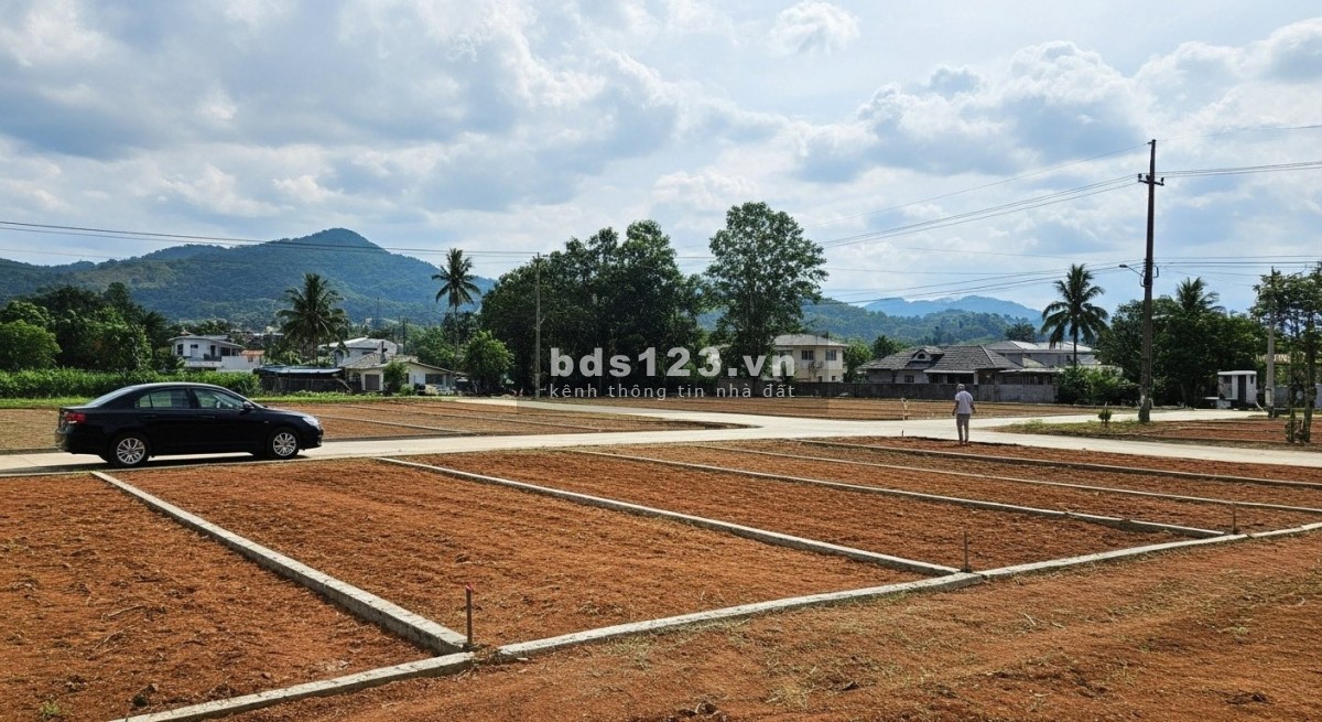 Chính chủ bán đất giá rẻ tại Thạch Thành Thanh Hoá