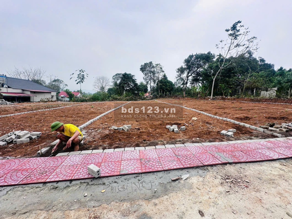 Chính chủ bán đất giá rẻ tại Thạch Thành Thanh Hoá