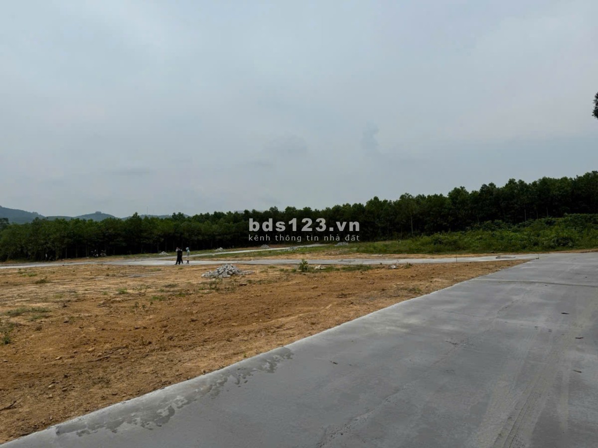 Chính chủ bán đất giá rẻ tại Thạch Thành Thanh Hoá