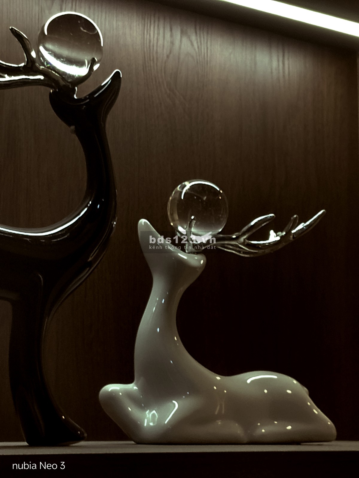 Nhà phố 1 trệt 1 lầu 3PN gần Phan Xích Long, thiết kế tối giản 6.8tỷ