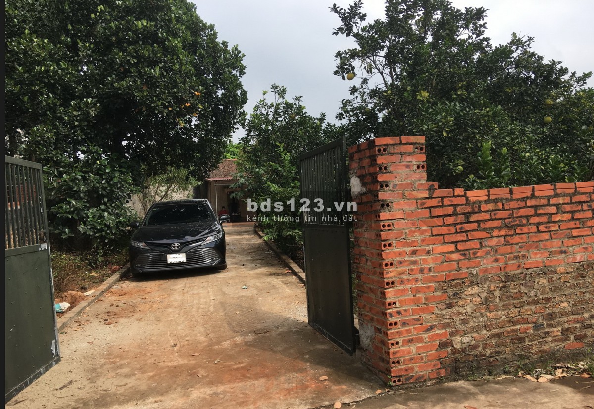 Cho Thuê Nhà có 50m2 nhà, 2000m2 vườn Giá 2,5tr cách TP Bắc…