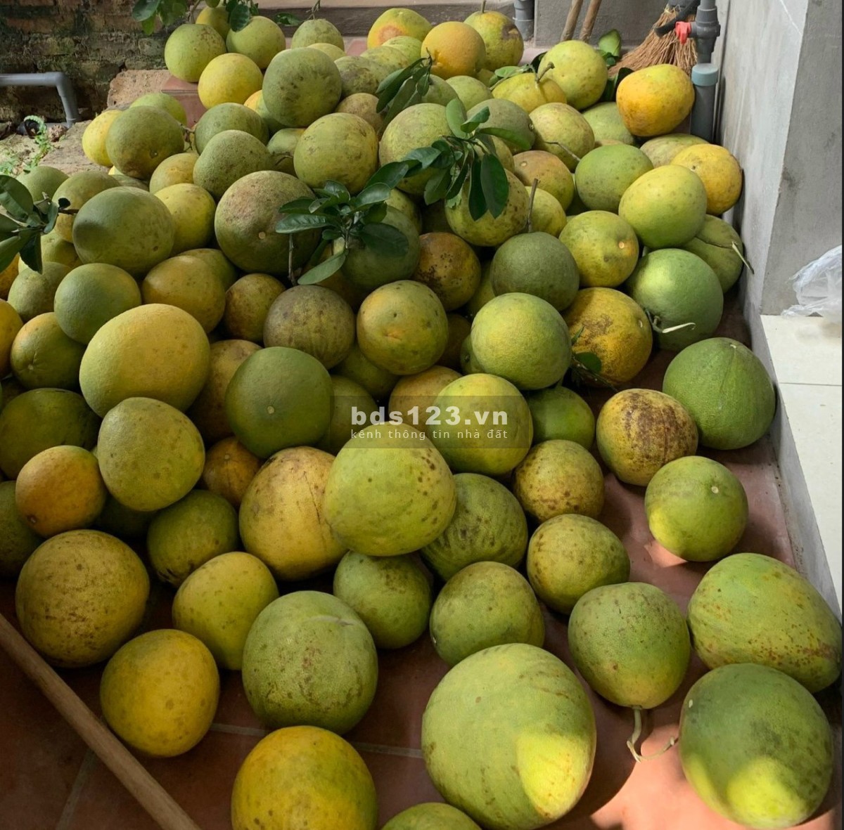 Cho Thuê Nhà có 50m2 nhà, 2000m2 vườn Giá 2,5tr cách TP Bắc…