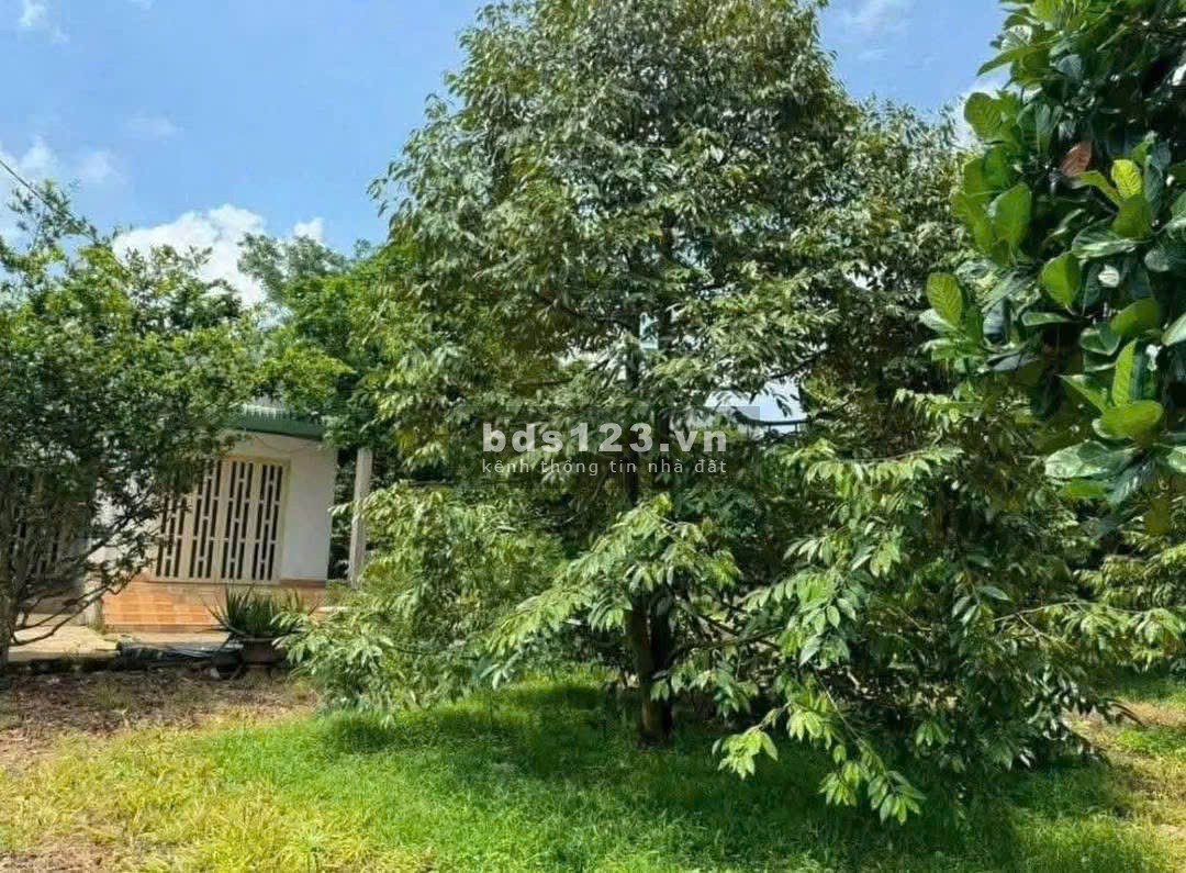 Bán đất thổ vườn có nhà cấp 4 rộng 2600m2 giá rẻ 630…