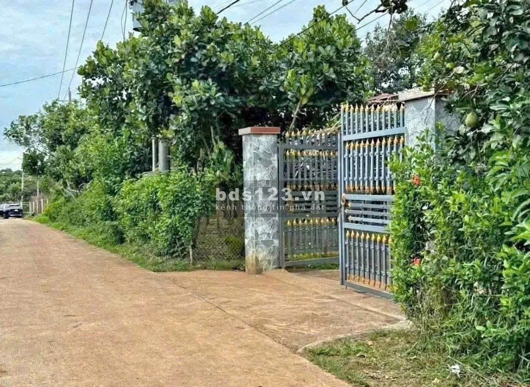 Bán đất thổ vườn có nhà cấp 4 rộng 2600m2 giá rẻ 630…