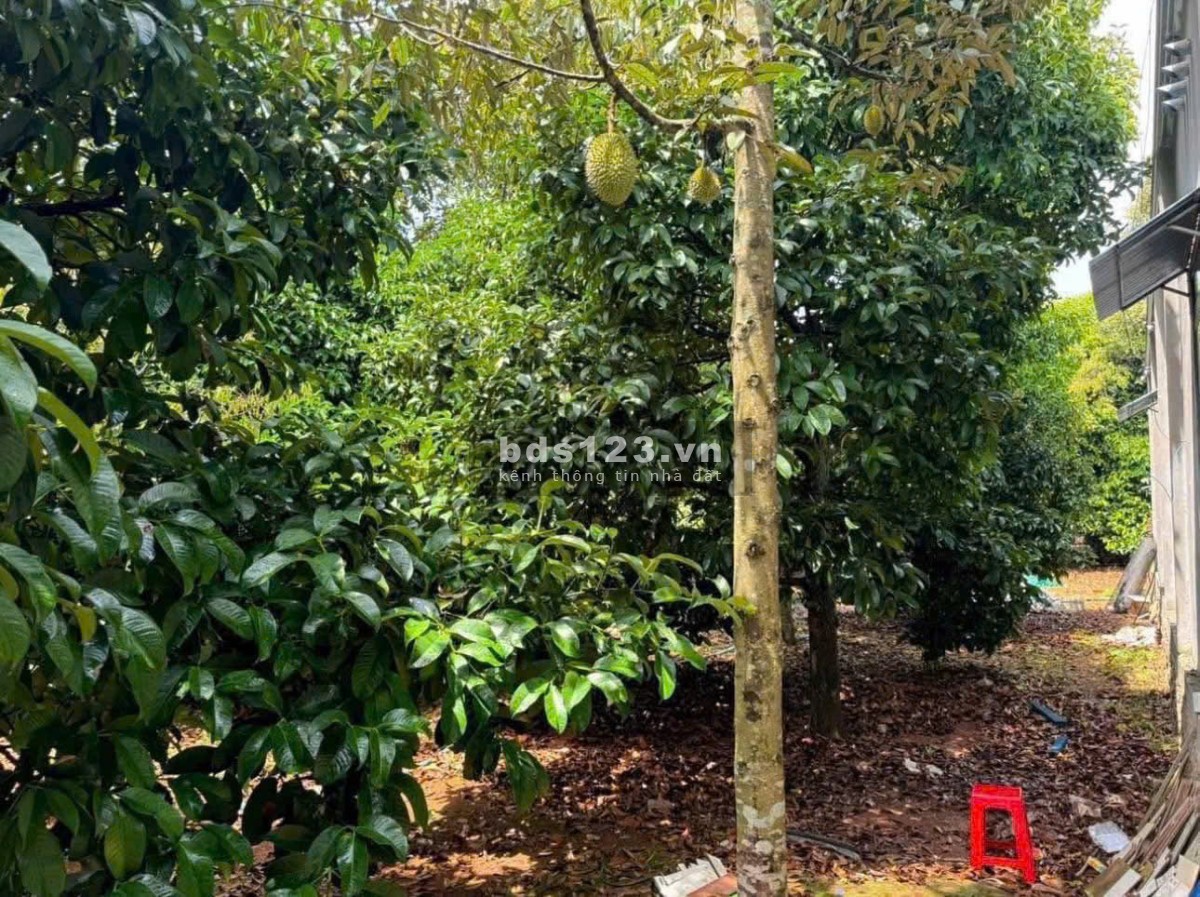 Bán đất thổ vườn có nhà cấp 4 rộng 2600m2 giá rẻ 630…