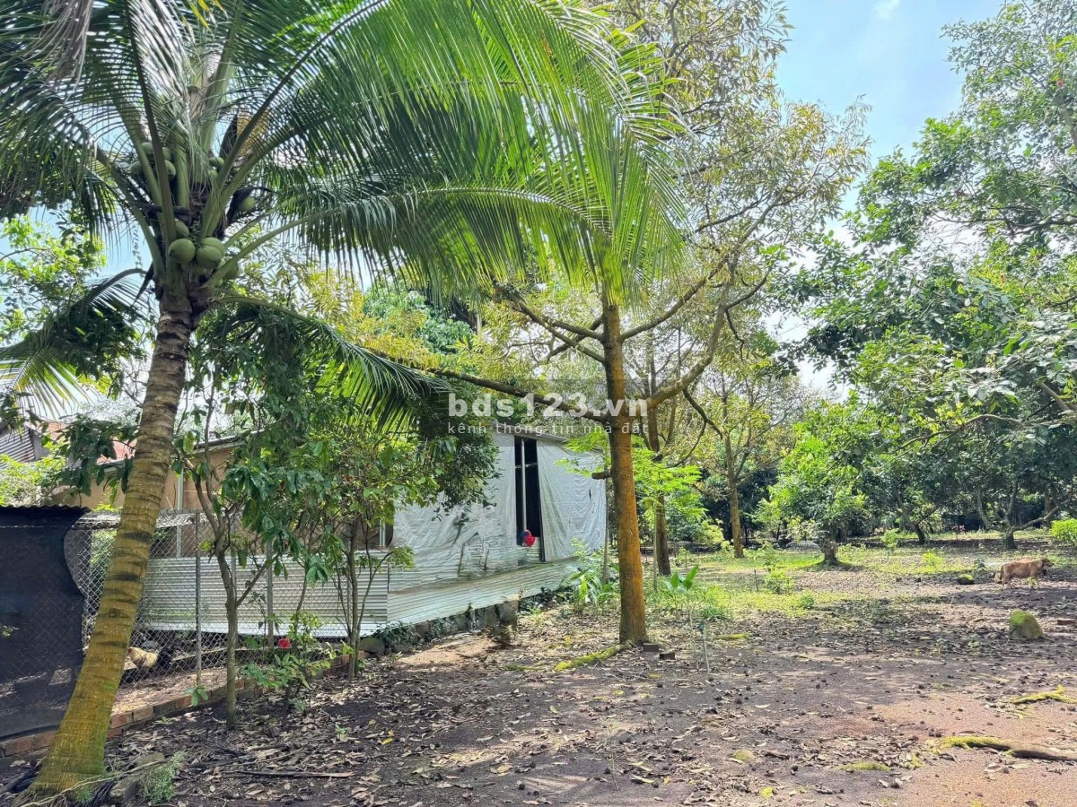 Bán đất thổ vườn có nhà cấp 4 rộng 2600m2 giá rẻ 630…