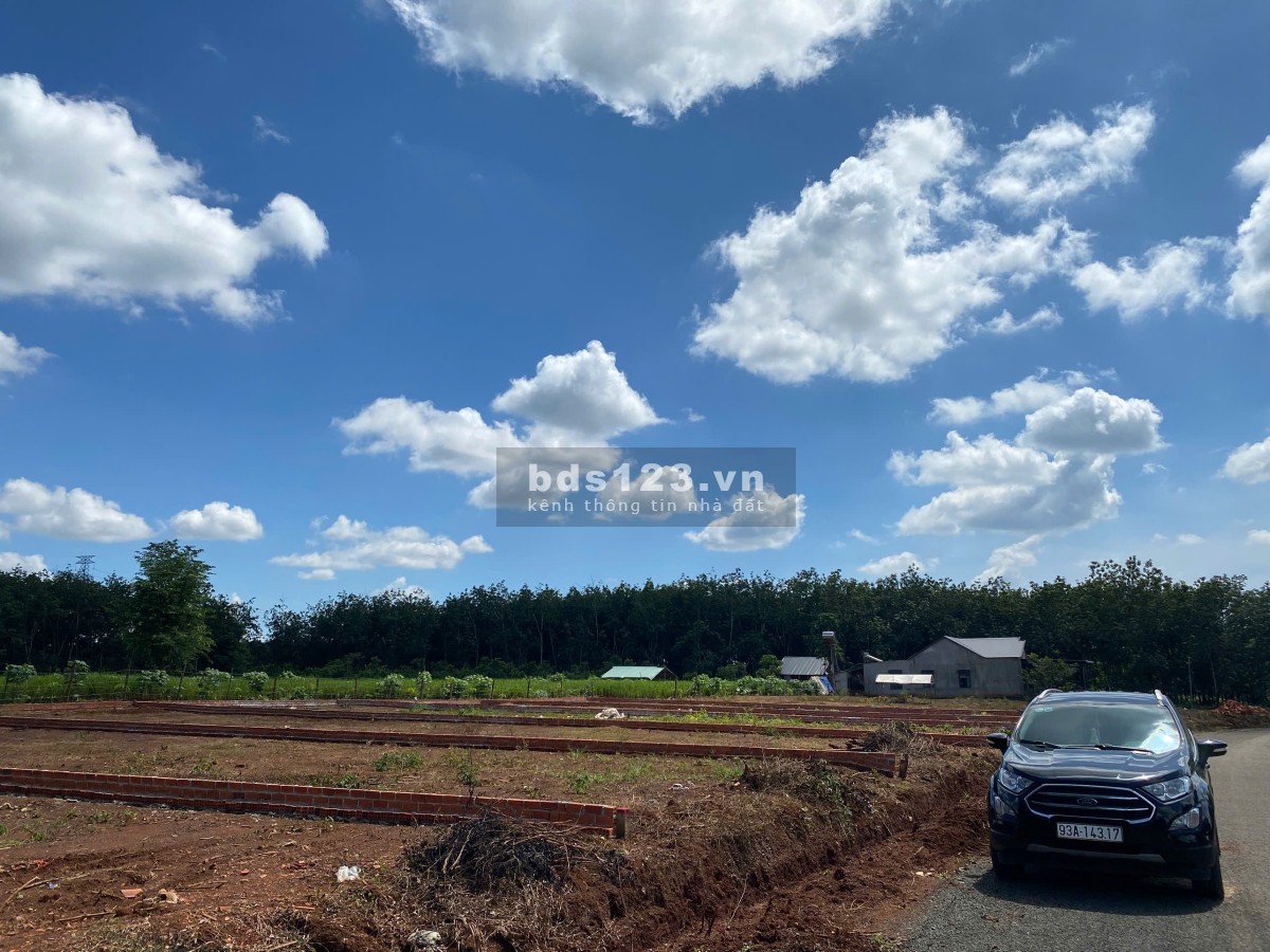 Đất Nền Gần KCN Long Tân – Long Hà, Tiềm Năng Sinh Lời Cao