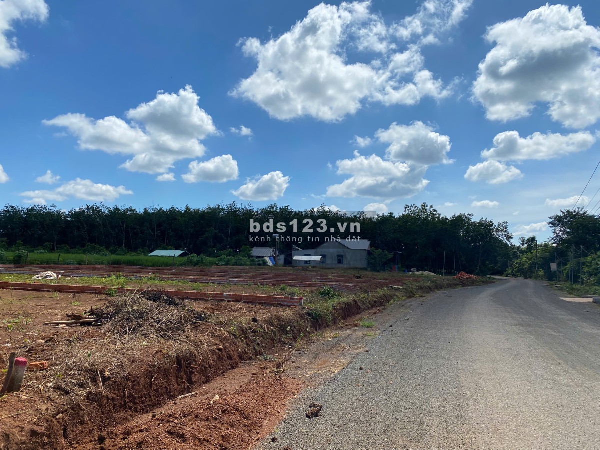Đất Nền Gần KCN Long Tân – Long Hà, Tiềm Năng Sinh Lời Cao