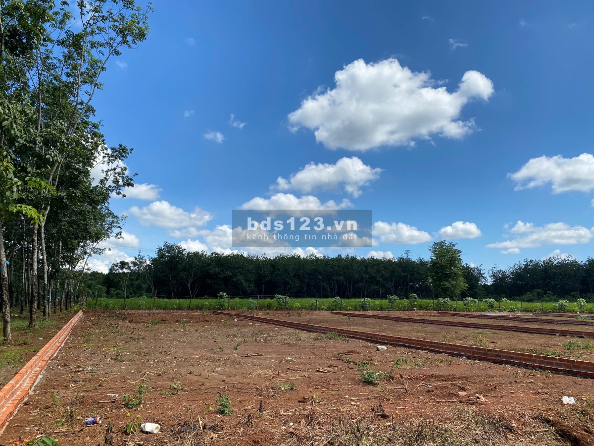 Đất Nền Gần KCN Long Tân – Long Hà, Tiềm Năng Sinh Lời Cao