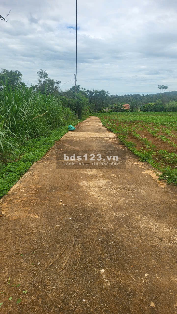 Bán lô đất tiềm năng mặt đường bê tông thôn Quỳnh Ngọc…