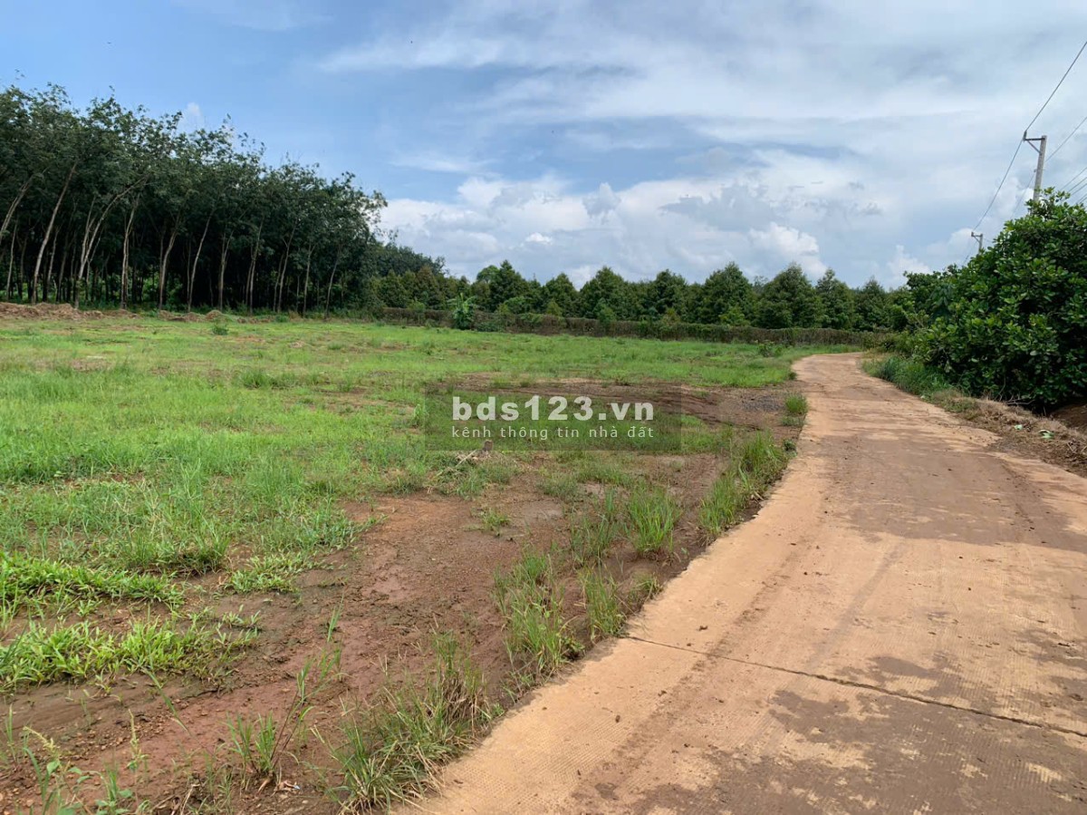 Đầu Tư Ngay Đất Vàng Long Hà – Tiềm Năng Tăng Giá Nhanh