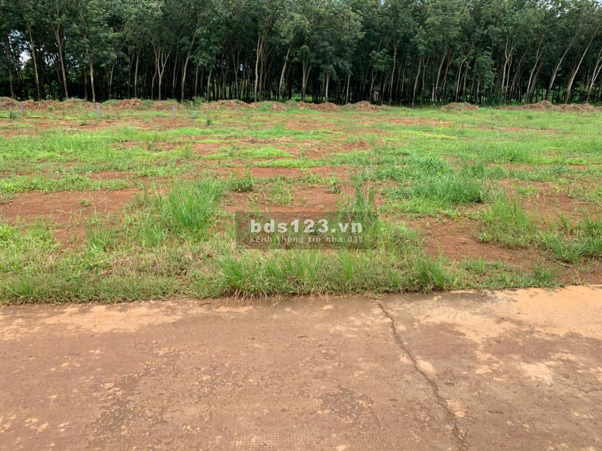 Đầu Tư Ngay Đất Vàng Long Hà – Tiềm Năng Tăng Giá Nhanh
