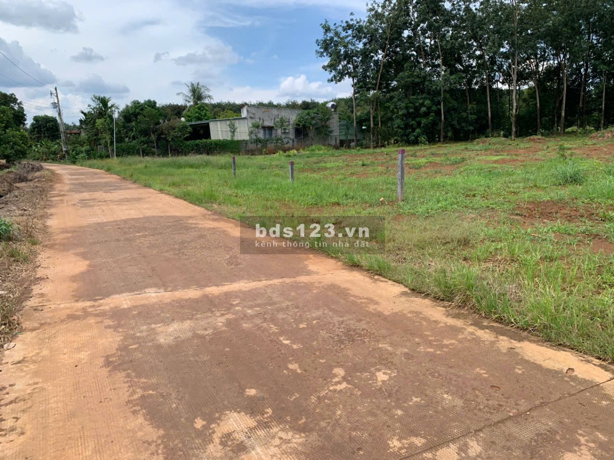 Đầu Tư Ngay Đất Vàng Long Hà – Tiềm Năng Tăng Giá Nhanh
