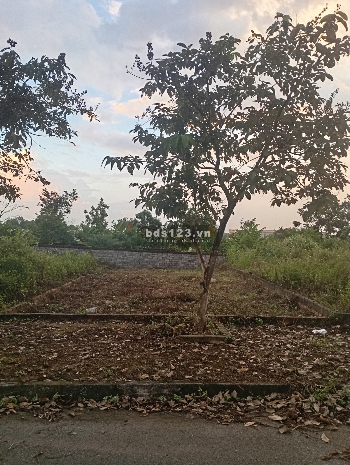 Bán lô đất tái định cư Vai Réo – Vị trí đẹp, giá tốt