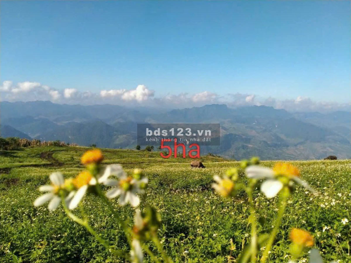 SIÊU PHẨM VIEW ĐẸP HƠN CẢ TÀ XÙA TẠI KHU DU LỊCH HANG TÁU
