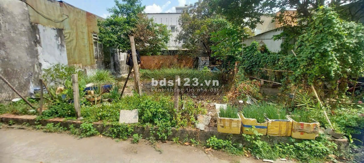 Chủ gửi bán gấp đất thổ cư 131m2 (ngang 8m), Tân Xuân, Hóc Môn
