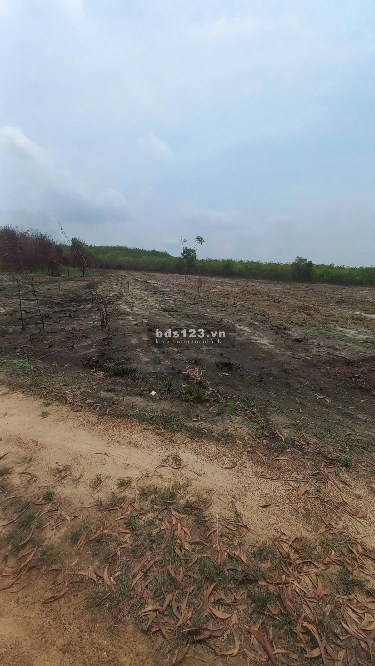 Chính chủ cần tiền xoay vốn nên muốn ra nhanh lô đất 5000m2…