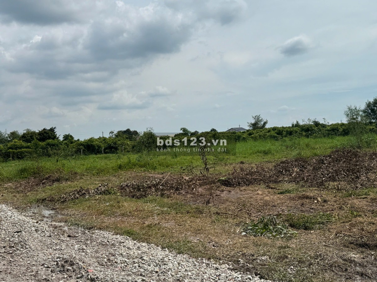 Bán đất nền giá rẻ – 200 triệu, trung tâm xã Bàu Đồn, Gò…