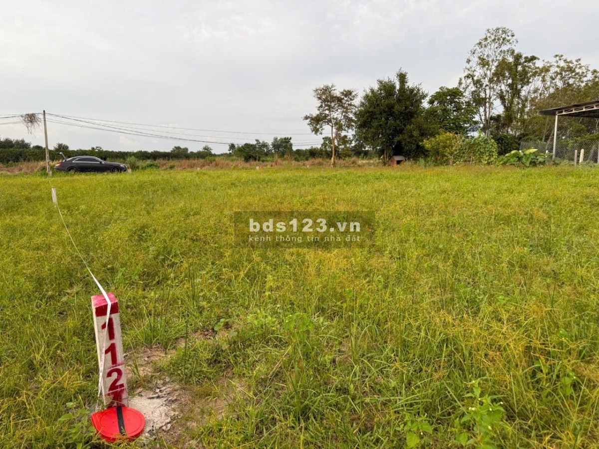 Đất ven DT784 – Tâm điểm đầu tư sinh lời tại Gò Dầu, Tây Ninh!