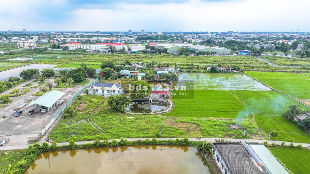 Bán đất Long An - Giá tốt, liên hệ ngay