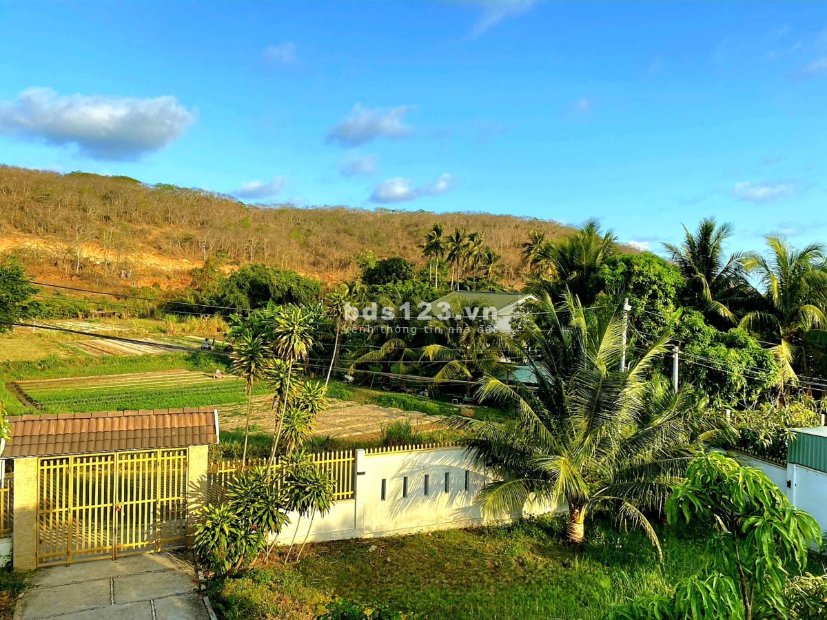 Cho thuê nhà homestay Phú Hài view biển Phan Thiết cũ