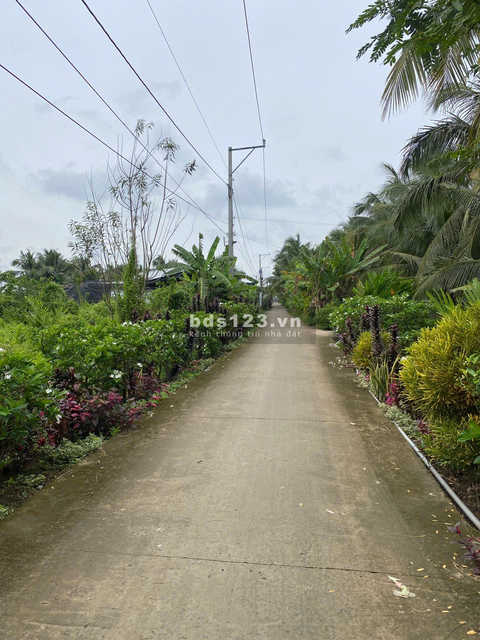 1 Triệu/m2 CHỦ BÁN 4200M2 ĐẤT TÂN PHÚ THỊ XÃ CAI LẬY TIỀN GIANG