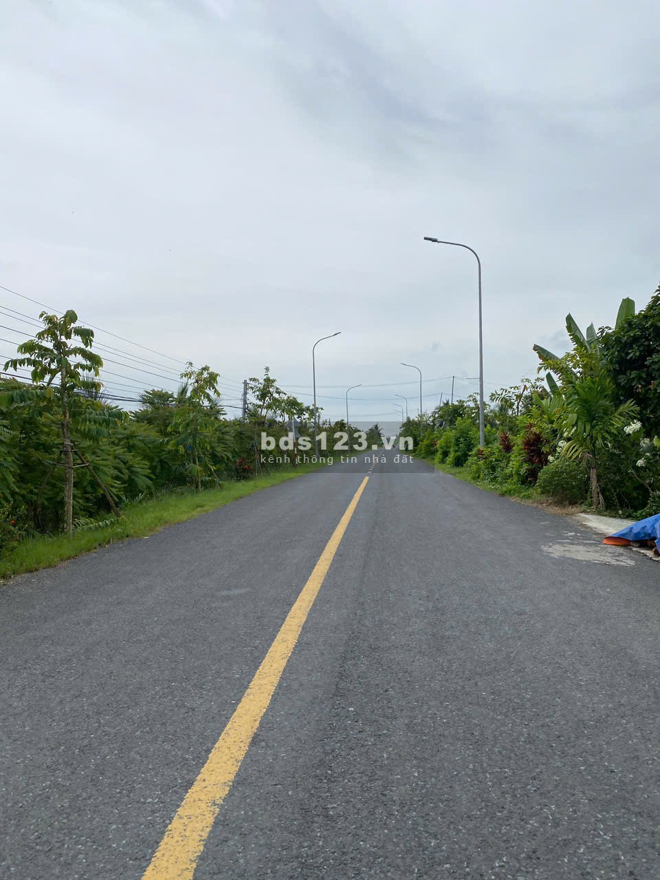 1 Triệu/m2 CHỦ BÁN 4200M2 ĐẤT TÂN PHÚ THỊ XÃ CAI LẬY TIỀN GIANG