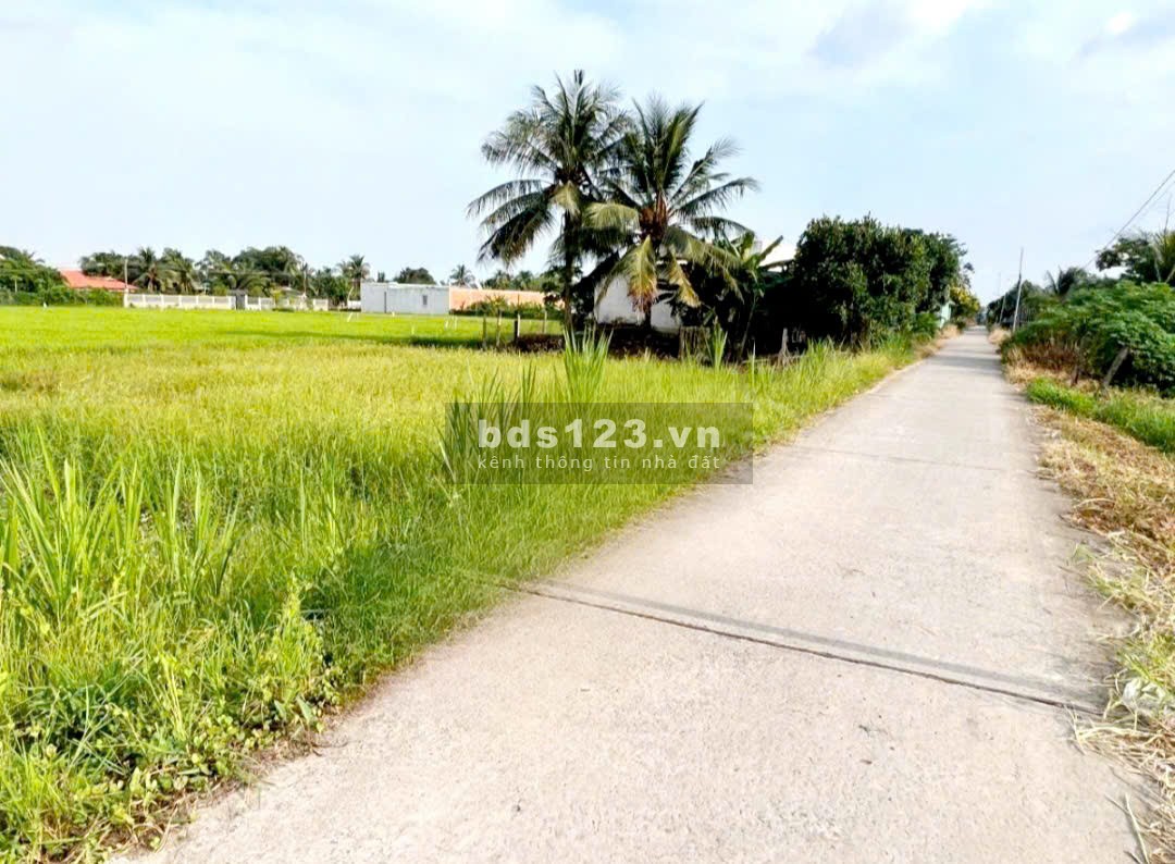 Chính chủ cần bán đất thổ cư 8x24m – Cát Quốc lộ 1A –…