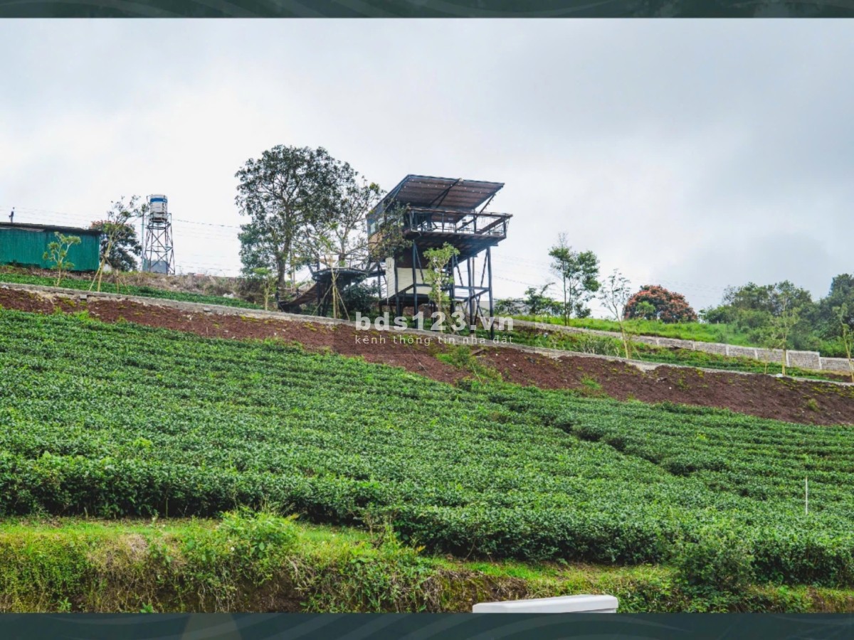 Đất nền full thổ cư – Trung tâm Bảo Lộc – Hạ tầng hoàn…
