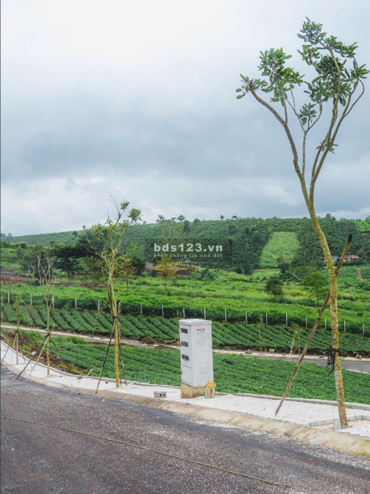 Đất nền full thổ cư – Trung tâm Bảo Lộc – Hạ tầng hoàn…