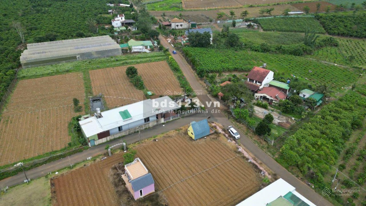 Bán lô đất Phường 2 Bảo Lộc gần ngã năm Dambri (Nhánh Khúc…