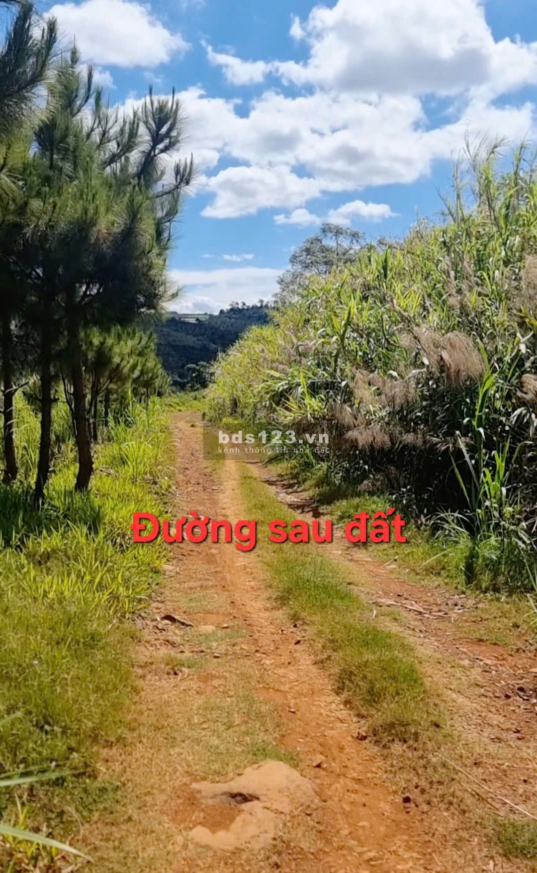 Đất mặt tiền trục chính vào hồ Ngọc - Lộc Tân (gần Hòn…