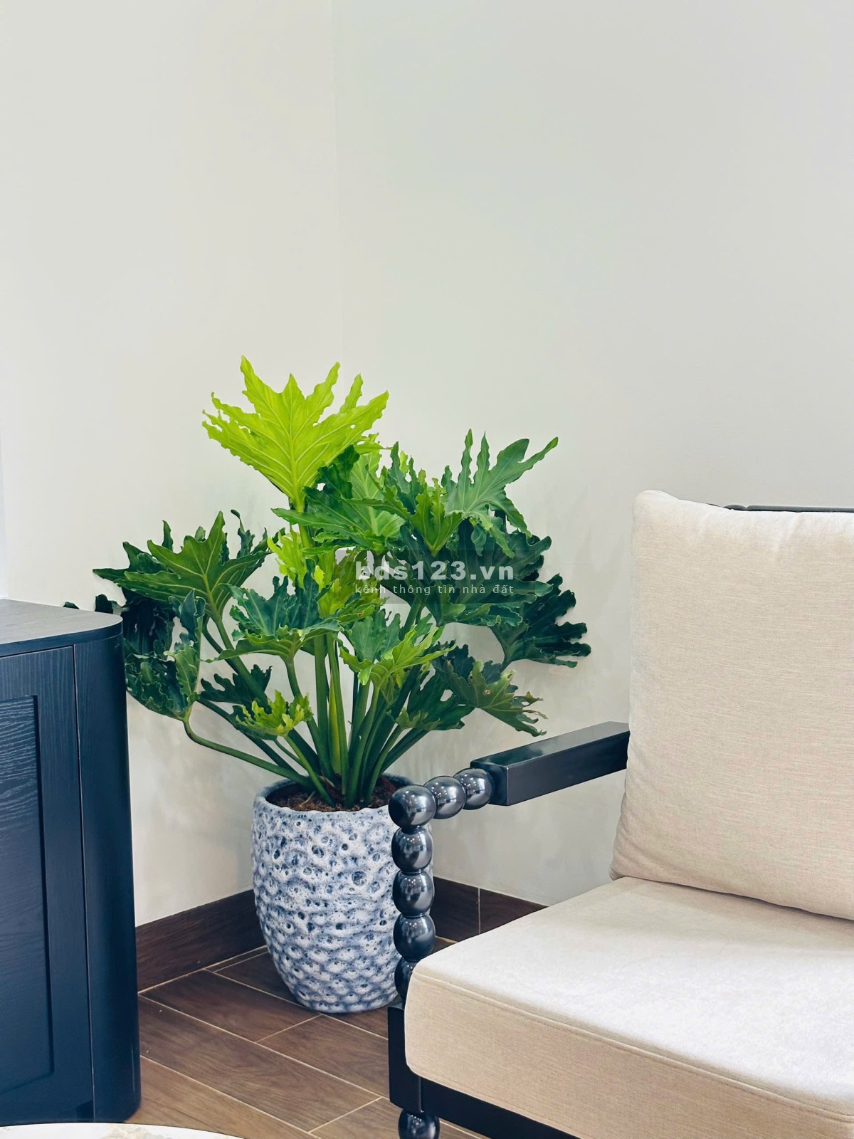 Chung cu mini cao cấp tại Xuân Đỉnh, 30m², full nội thất