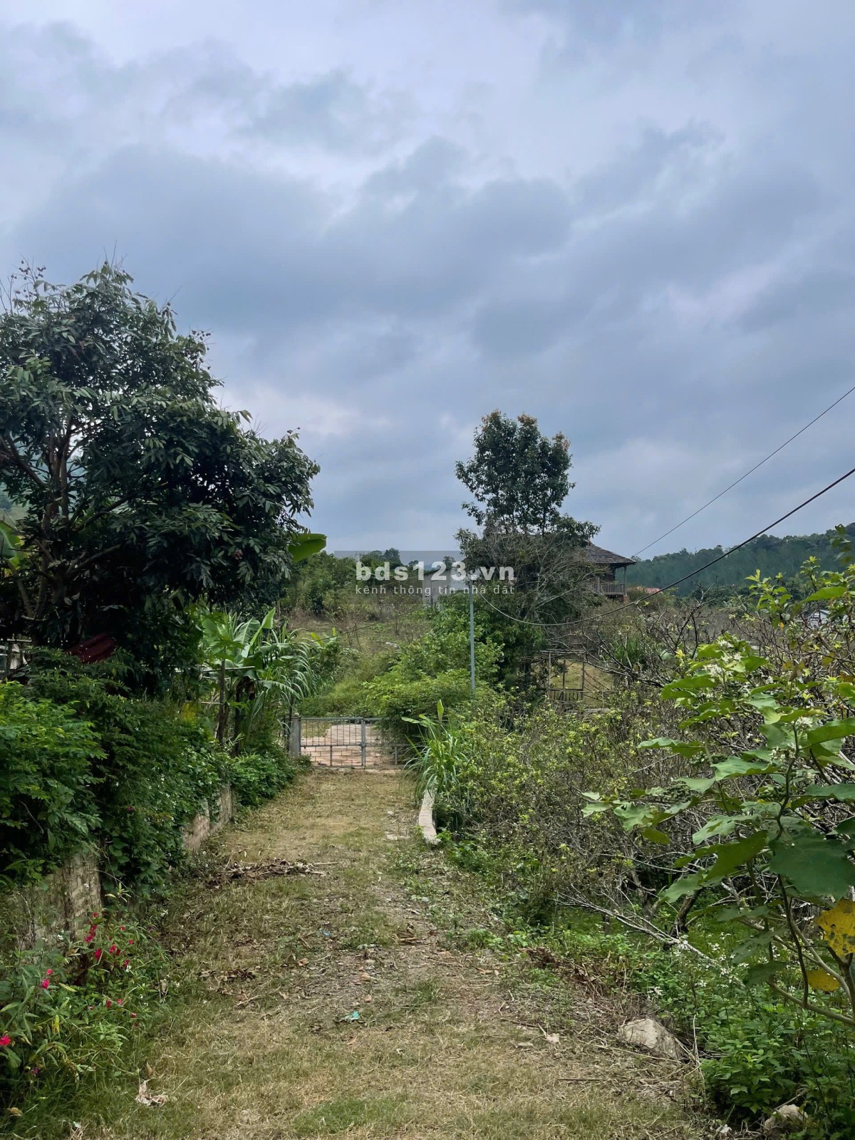 Lô đất sẵn nhà, ao view thiên nhiên gần các điểm du lịch…