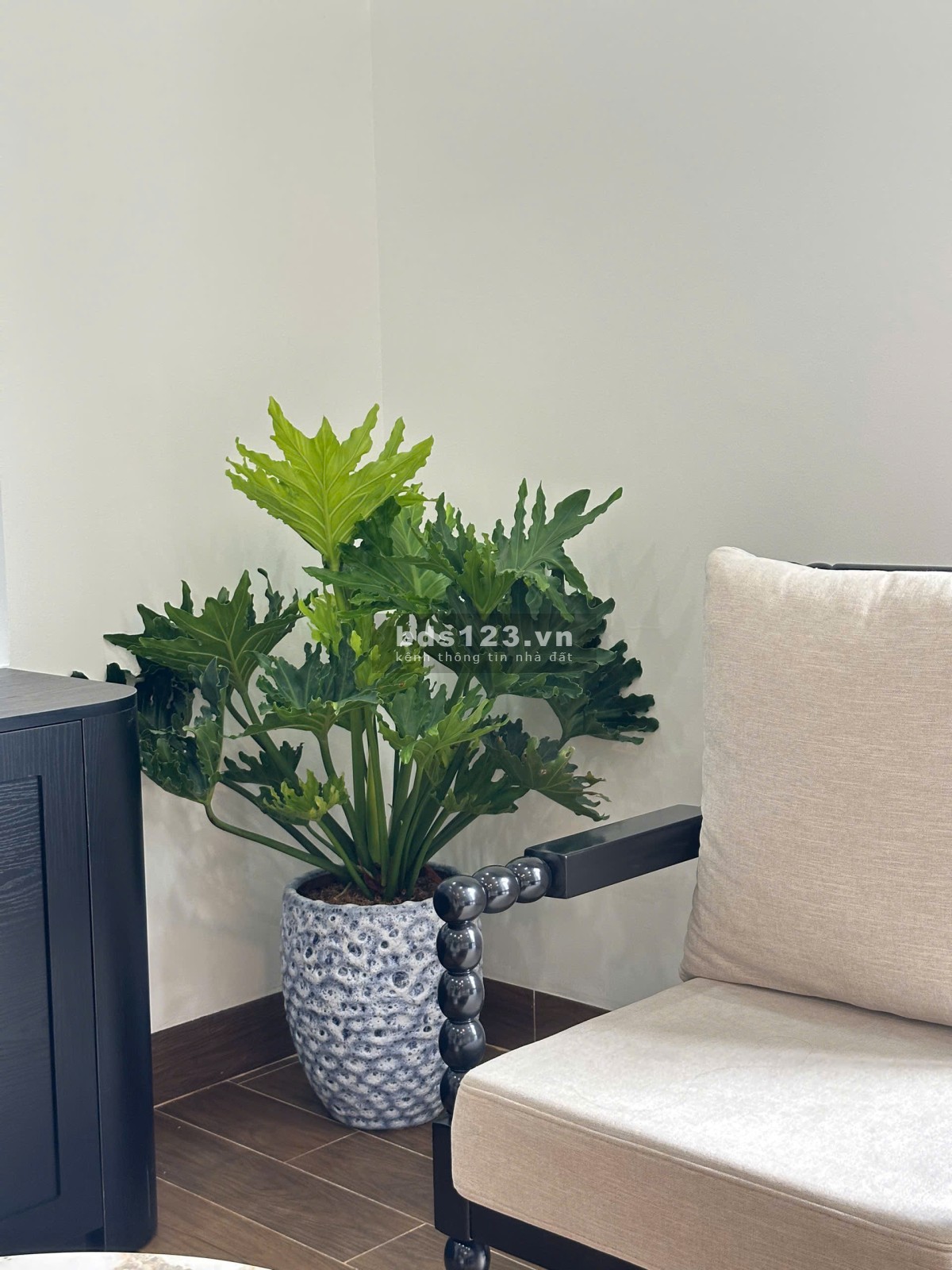 Khai Trương Chung Cư Mini Cao Cấp, Tiện Nghi !!