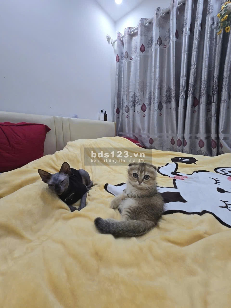 Bán nhà Bùi Xương Trạch ngõ to như phố cách ô tô 10m nhà…