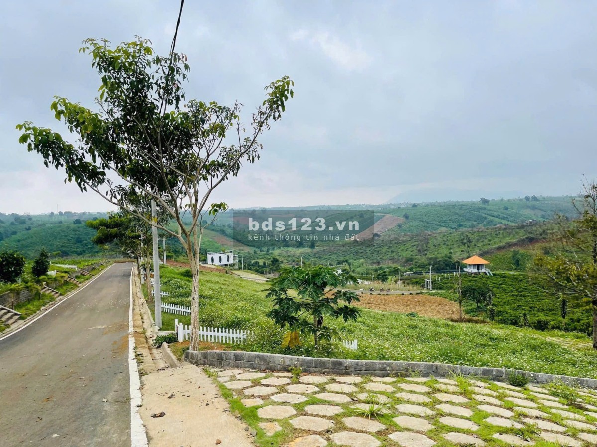 Đầu tư sinh lời cao với NaLi Chill - Homestay and BBQ – Vị trí…