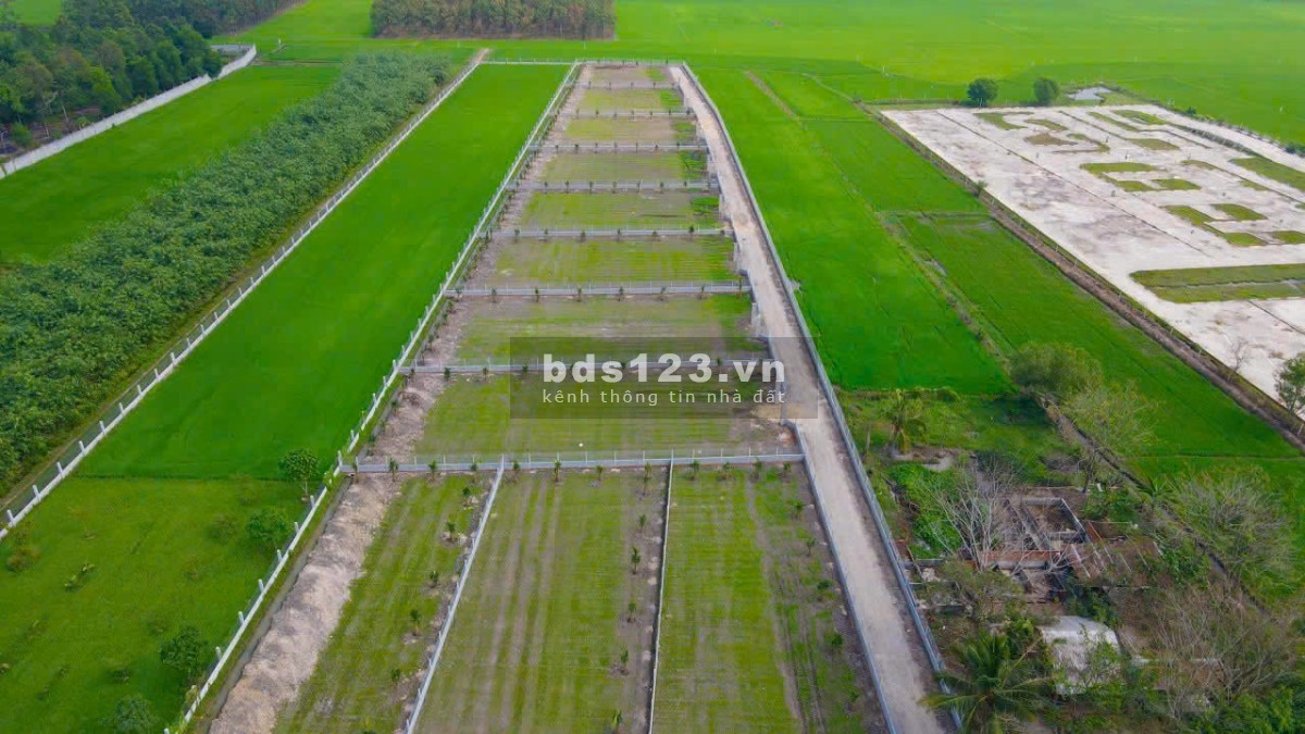 Đất vườn 1000m2 đường Hùng Vương, Gò Dầu, Tây Ninh