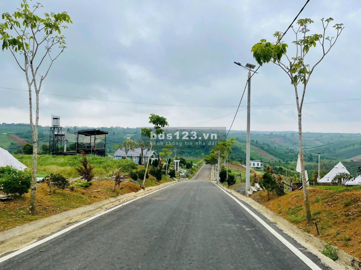 Đầu tư sinh lời cao với NaLi Chill - Homestay and BBQ – Vị trí…