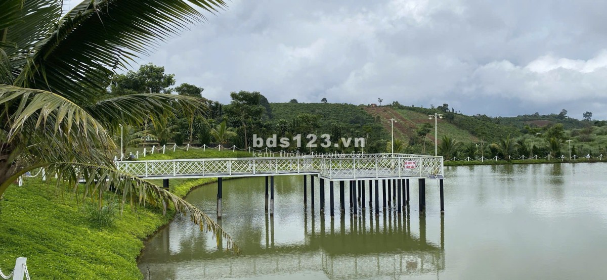 Đầu tư sinh lời cao với NaLi Chill - Homestay and BBQ – Vị trí…