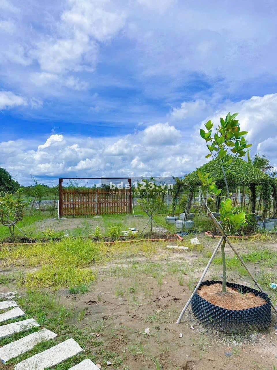 Bể nợ ngân hàng cần bán miếng đất vườn hơn 8200m2 giá 420tr