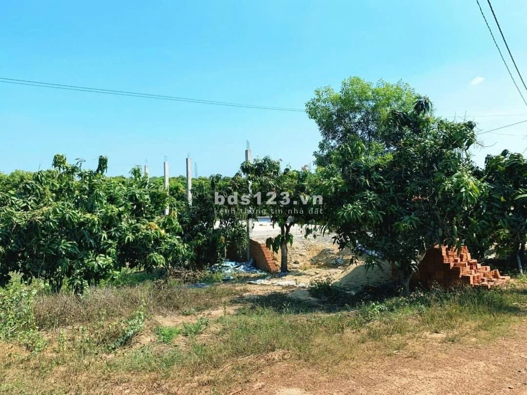 Bán đất 2.038m² trung tâm Phú Ngọc – Có nhà thô, giá siêu…