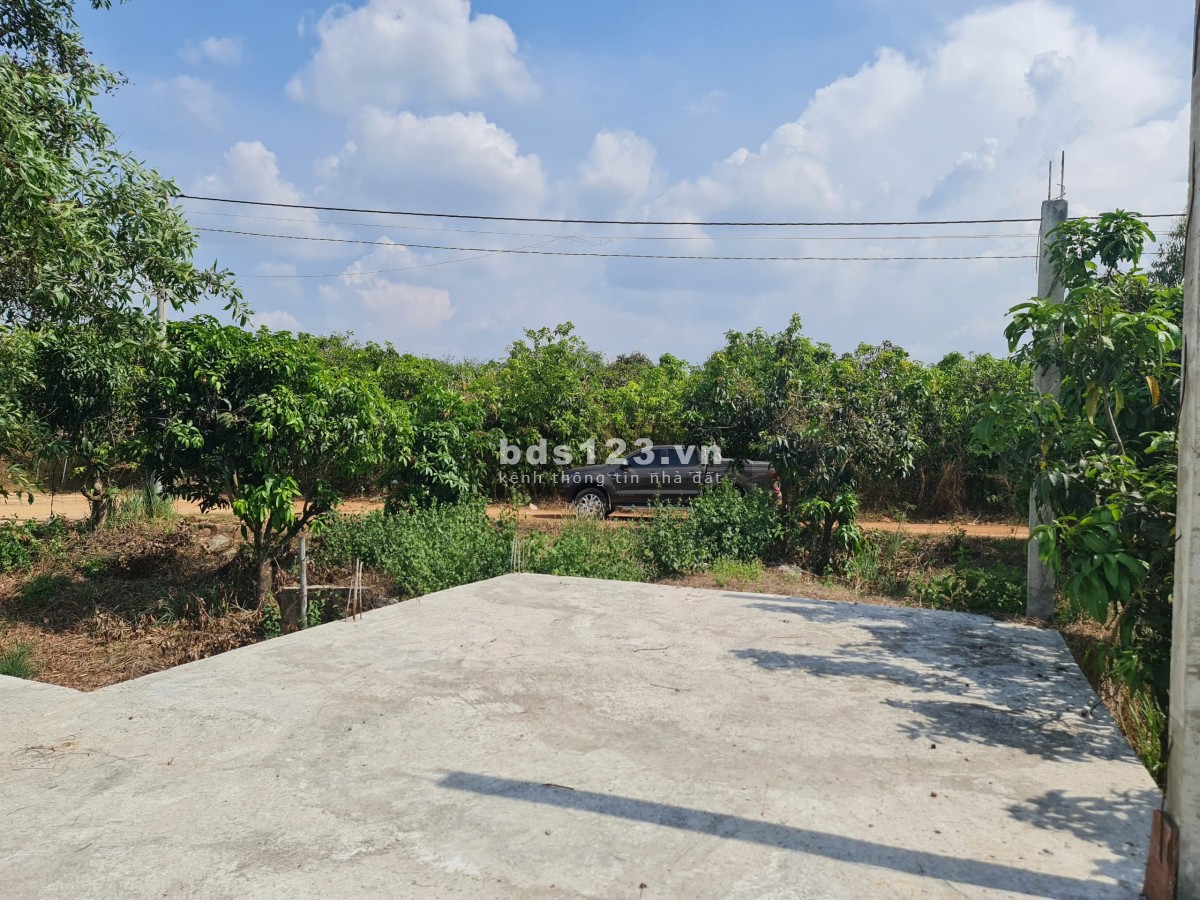 Bán đất 2.038m² trung tâm Phú Ngọc – Có nhà thô, giá siêu…