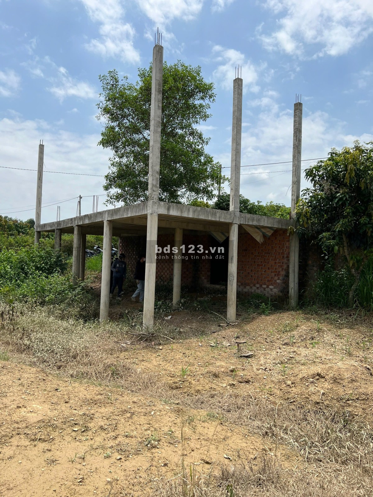 Bán đất 2.038m² trung tâm Phú Ngọc – Có nhà thô, giá siêu…