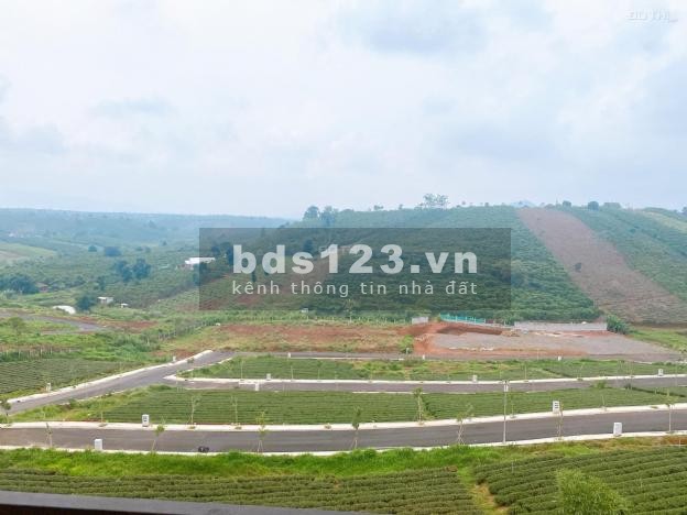 Chính chủ gửi bán lô đất nền cạnh Làng Pháp Bảo Lộc -…