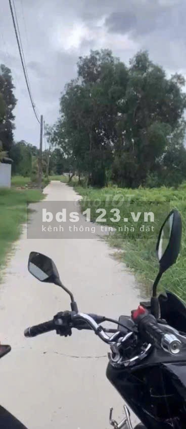 Bán lô đất trồng cây lâu năm (lên được thổ cư) Nhị Bình…