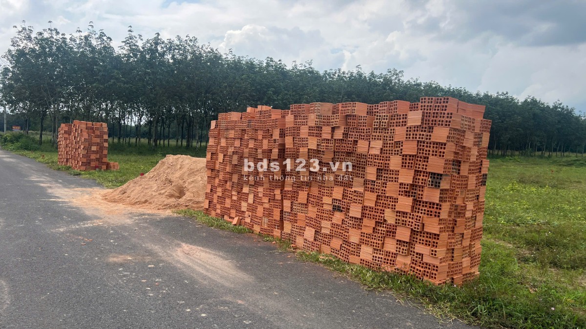 ĐẤT ĐẦU TƯ VỊ TRÍ ĐẸP GIÁ MỀM CHÁNH PHÚ HÒA BẾN CÁT BÌNH DƯƠNG SÁT VISIP2