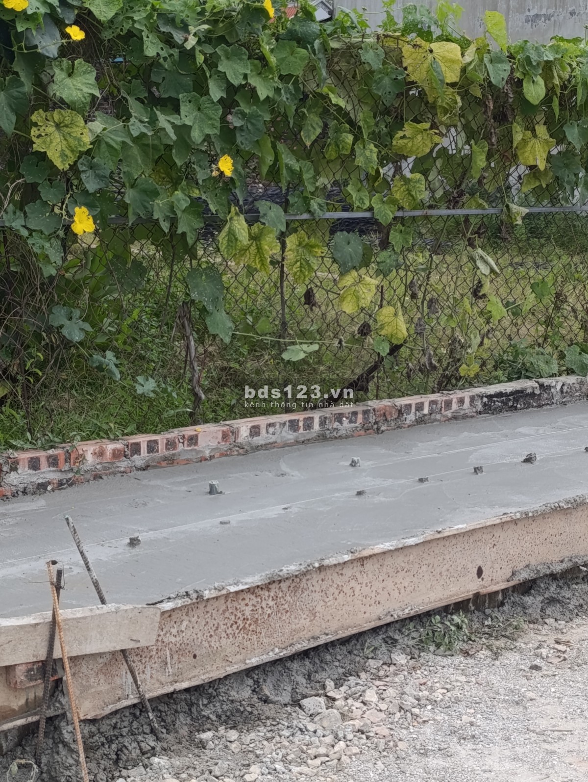 Bán gấp lô đất bìa làng Xuân Long, Tân Dân, Sóc Sơn